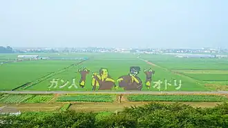 Tanbo art in Hachirogata