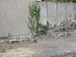 West entrance to the enclosure.