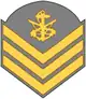Terceiro-sargento fuzileiro naval (Brazilian Marine Corps)