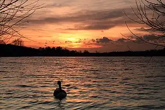 Rickmansworth Aquadrome