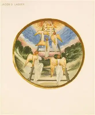 No. iii Jacob's Ladder Polemonium caeruleum