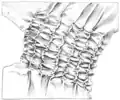 An illustration of shirred fabric.