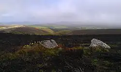 The Whit Stones: two standing stones 230&nbsp;m west of Whitstone Post