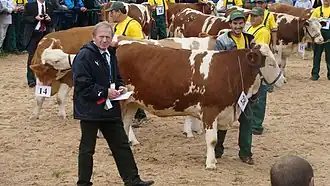 National Exposition of the Simmental Cattle and the Regional Championship of Hucul Horse.