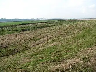 A grassy green hillside.