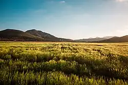 Looks like this Site of Community Interest has an image. Don't worry, you can take one of your own, and upload it too!