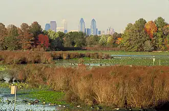John Heinz NWR at Tinicum