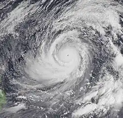 Satellite image of a large tropical cyclone with a well-defined appearance