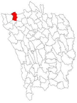 Location in Vaslui County