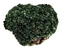 Torbernite from the Shinkolobwe mine in the Congo