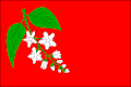 Flag of Třemošná