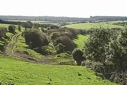 Treneglos - towards Treskellow