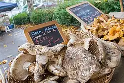 A box of matsutake mushrooms next to a box of chanterelle mushrooms.