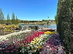 Flowerscape overlooking the 7-acre lake, 4-2025