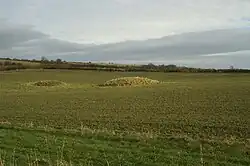 Bowl barrow 250 m south east of Tyning's Farm: part of the Tyning's Farm round barrow cemetery