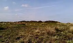 Bowl barrow and round cairn on Withypool Hill, 850&nbsp;m and 820&nbsp;m east of Portford Bridge