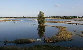 Near Slijk-Ewijk, the Waal during flood (summer 2021)