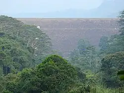 Downstream view of the 87m tall dam