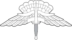 Military Freefall Parachutist Badge