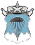 Air Force Master Parachutist Badge