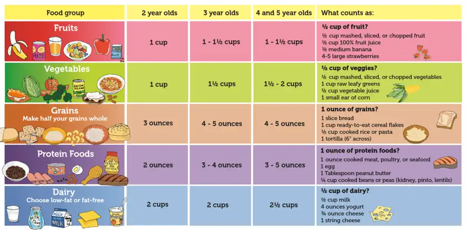 US Department of Agriculture Nutrition Guidelines