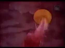 The balloon struck by lightning