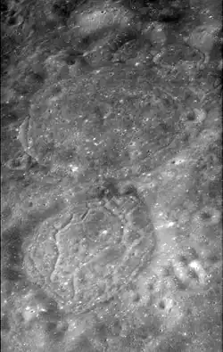 Tamm (top) and van den Bos (bottom)