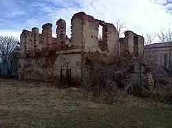 Ruins of the Matei and Toma Cantacuzino manor