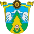 Coat of arms of Verkhovyna Raion