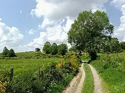 Via Podiensis near Saint-Alban-sur-Limagnole.