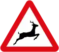 Animals (Deer)