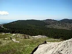 View from Black Balsam Knob