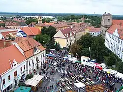 View from tower of St. Michal Church in Skalica