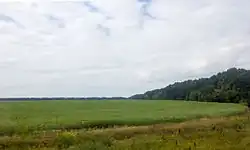 Landscape in Usmansky District