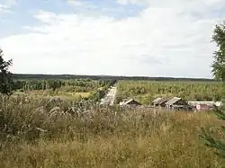 View of the village of Manga and the R21 regional road in Pryazhinsky District