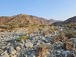 The Wadi Helo seasonal watercourse
