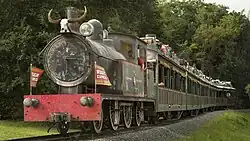 Wildlife Express Train