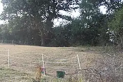 Part of the linear boundary known as the Wansdyke 210&nbsp;m north west of Cottles
