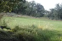 Part of the linear boundary known as the Wansdyke 375&nbsp;m south east of Knowle Farm