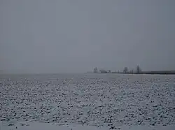 Snowy countryside in Warren Township