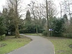 Image of a tarmacked path curving through a wooded area