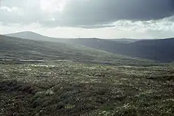 The Sally Gap in County Wicklow was one of the locations of Wild Youth's postcard.