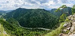 River gorge, surrounded by tree-covered mountains
