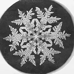 Snowflake micrograph by Wilson Bentley, 1890