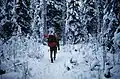 A hiker traverses a snow-covered trail within the Kenai National Wildlife Refuge
