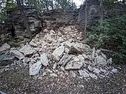 Railroad cut showing new rockfall Winterset Limestone next to older cliffs. Note the gray color of the weathered limestone vs the buff color of the new rockfall. Raytown, Missouri.