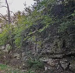 Railroad cut showing Winterset Limestone, Dennis Formation, Upper Bronson Subgroup, Kansas City Group, Missourian Series, Pennsylvanian System. Note the Stark Shale Member beneath the limestone - the softer shale has eroded and undercut the limestone above. Raytown, Missouri.