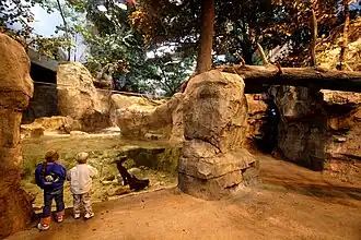 Wonders of Wildlife Museum (interior)