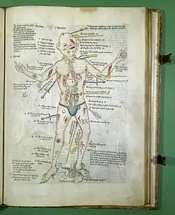 The Wound Man from a manuscript made in Germany probably around 1420 (London, Wellcome Library MS 49)