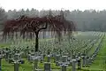 Ysselsteyn, German War Cemetery
